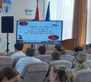 «Ответственность за нарушение правил дорожного движения, а также за умышленное уничтожение либо повреждение чужого имущества»